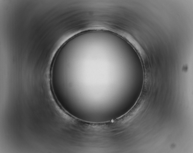 X0000102760951200808251025