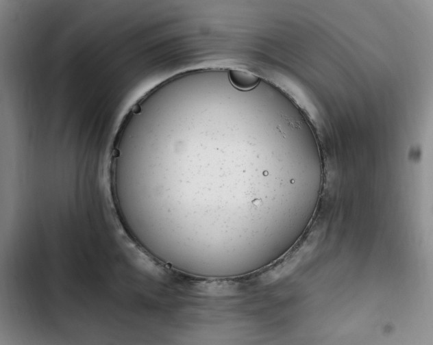 X0000102760952200808251025