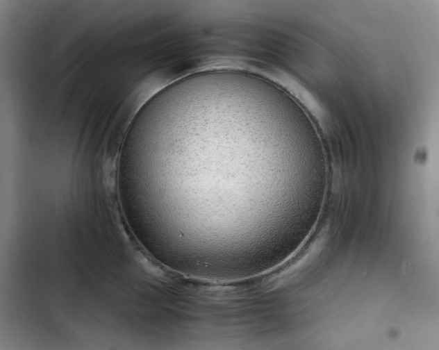 X0000102760953200808251025