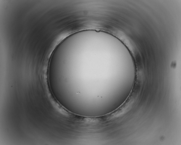 X0000102760954200808251025