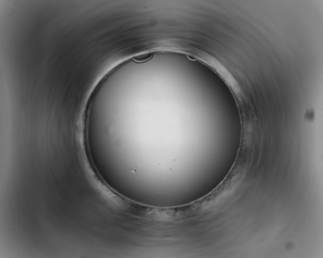 X0000102760955200808251025