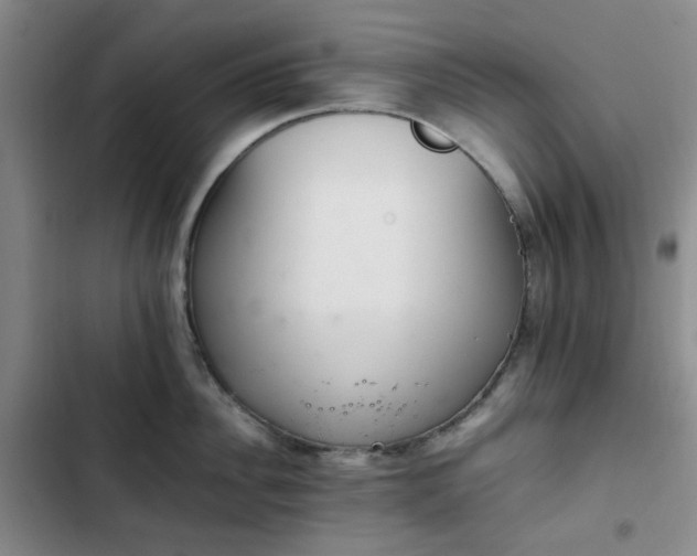 X0000102760956200808251025