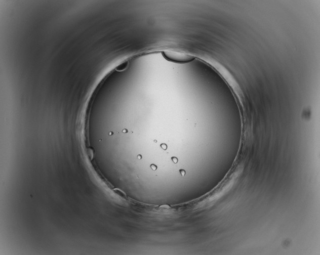 X0000102760957200808251025