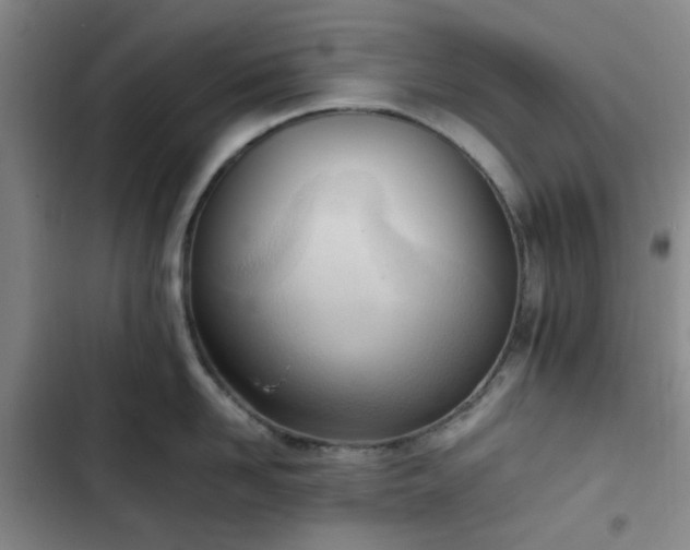 X0000102760958200808251025