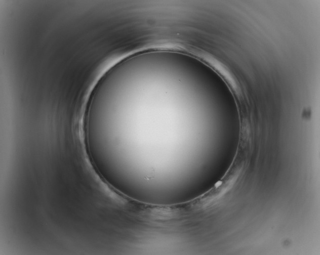 X0000102760959200808251025