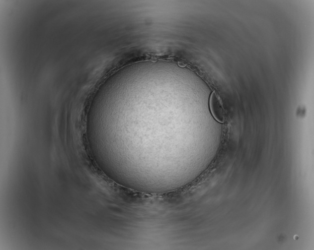 X0000102760961200808251025