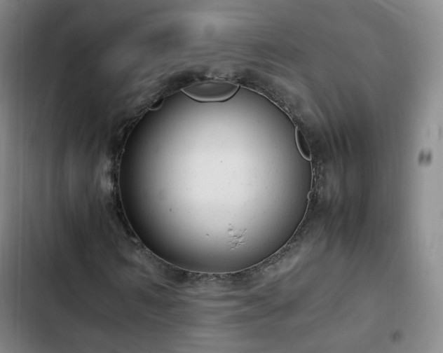 X0000102760962200808251025