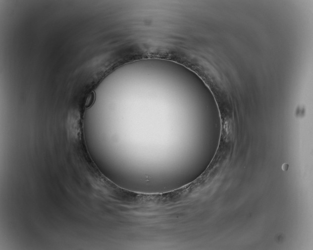 X0000102760963200808251025