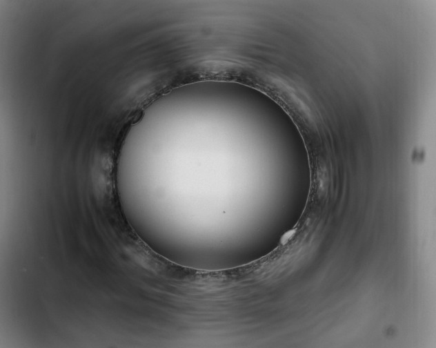 X0000102760964200808251025