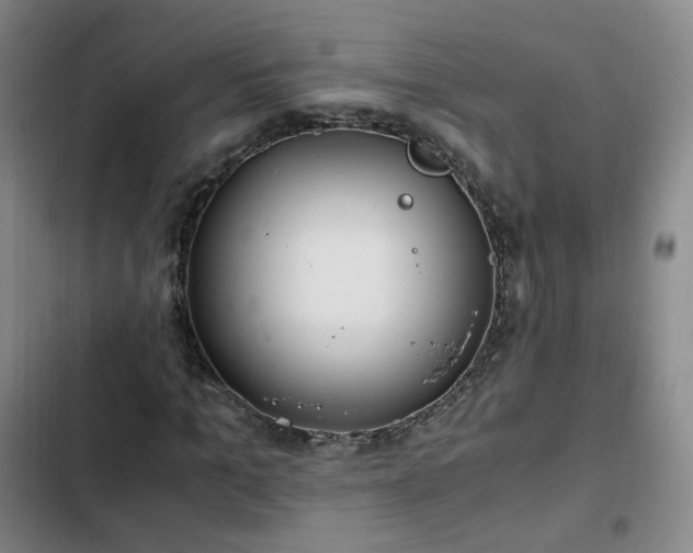 X0000102760965200808251025