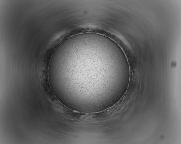 X0000102760967200808251025