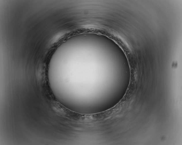 X0000102760968200808251024