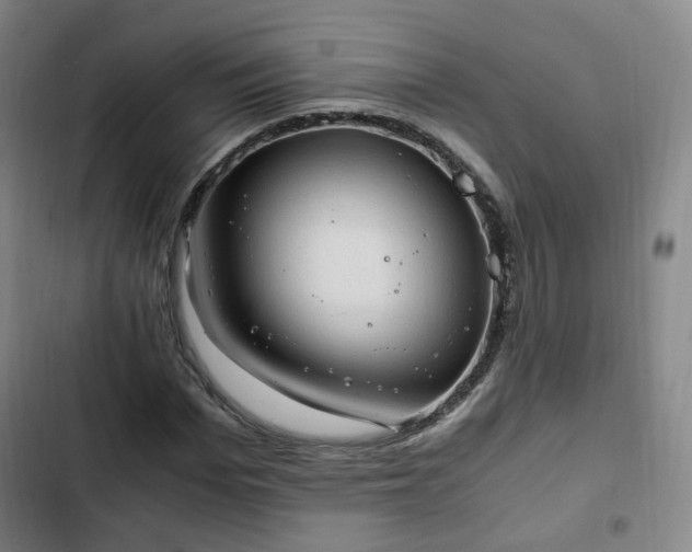 X0000102760969200808251024