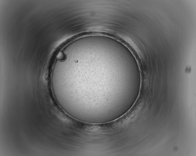 X0000102760971200808251024