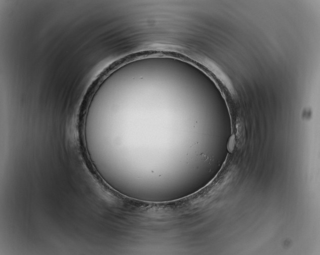 X0000102760972200808251024