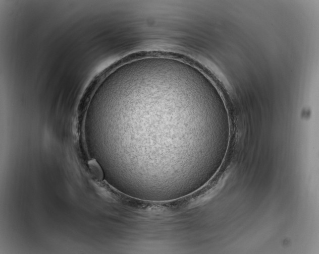 X0000102760974200808251024