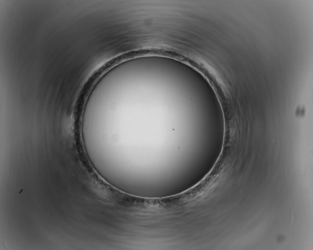 X0000102760975200808251024