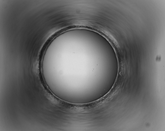 X0000102760976200808251024