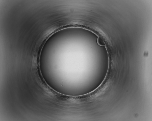 X0000102760977200808251024