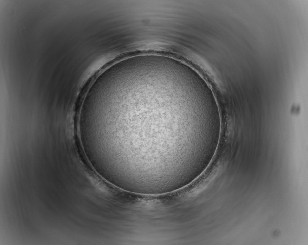 X0000102760978200808251024