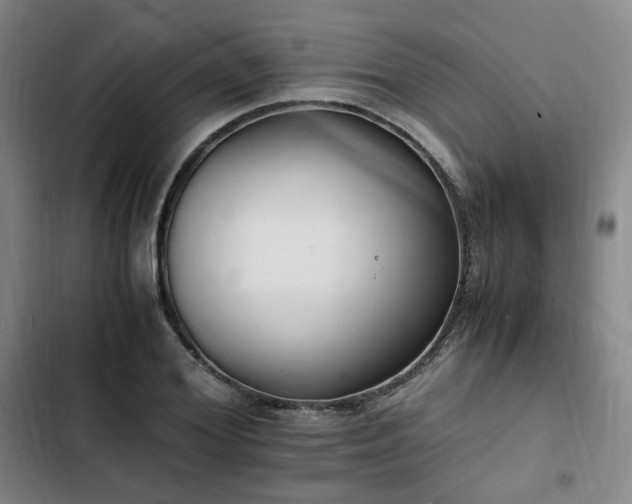 X0000102760980200808251024