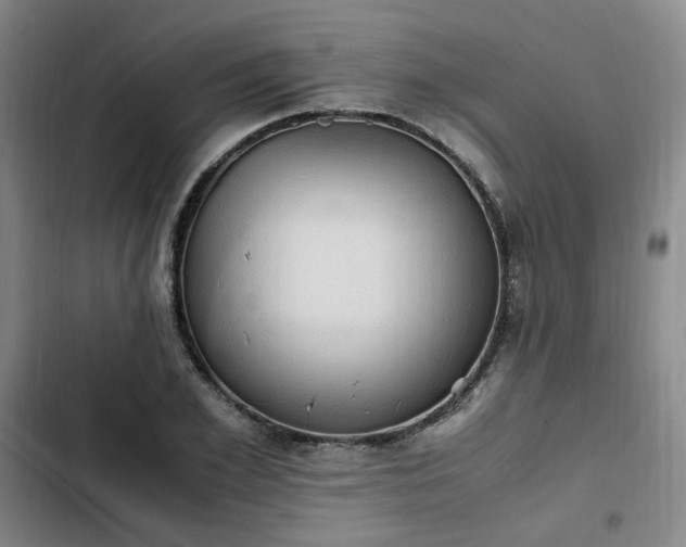 X0000102760981200808251024