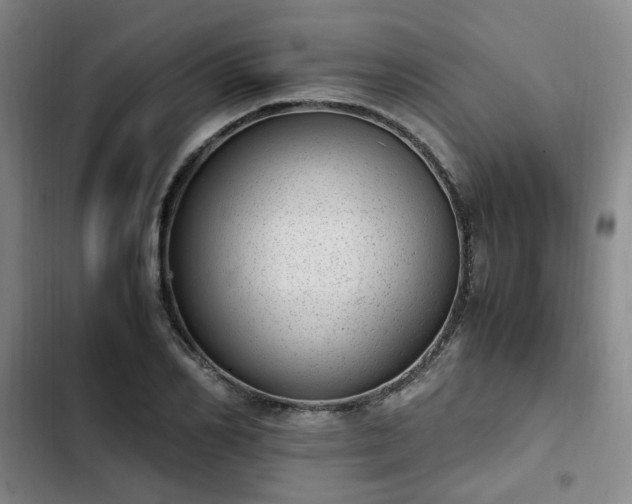 X0000102760982200808251024