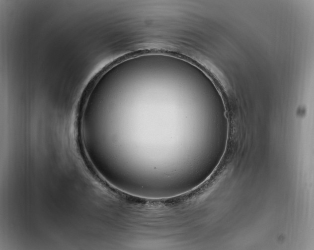 X0000102760983200808251024