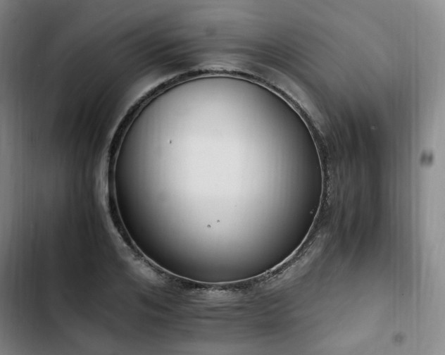 X0000102760984200808251024