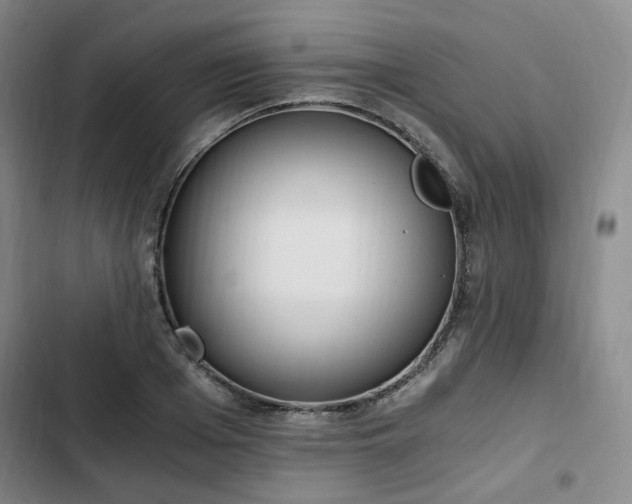 X0000102760985200808251024