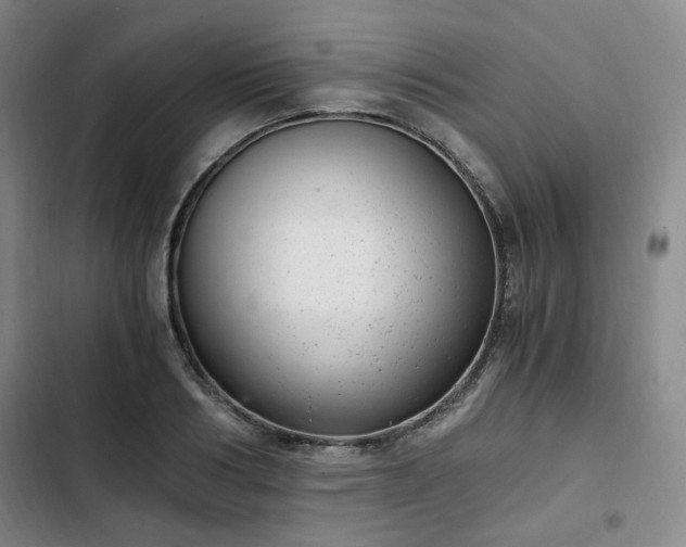 X0000102760986200808251024