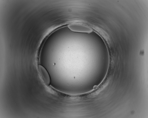 X0000102760989200808251024