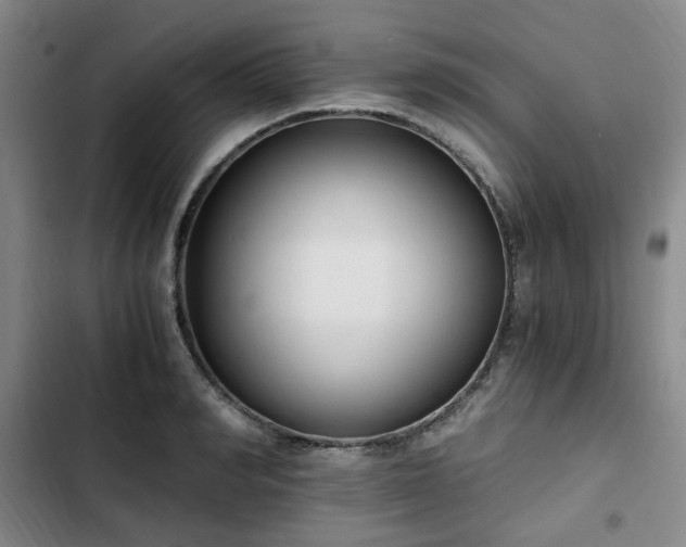 X0000102760990200808251024