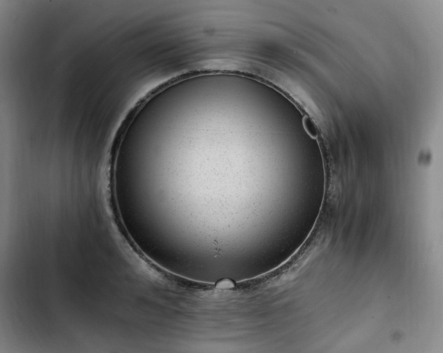 X0000102760992200808251024