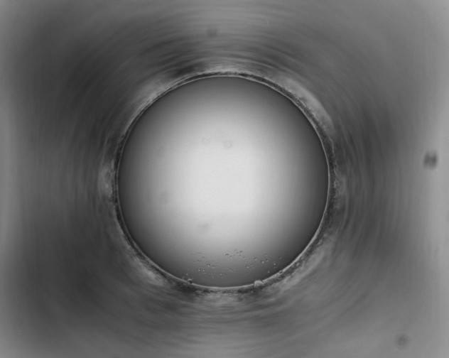 X0000102760993200808251024