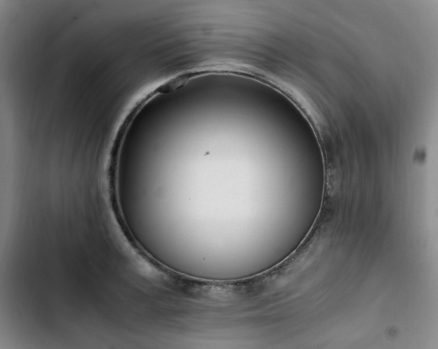 X0000102760995200808251024