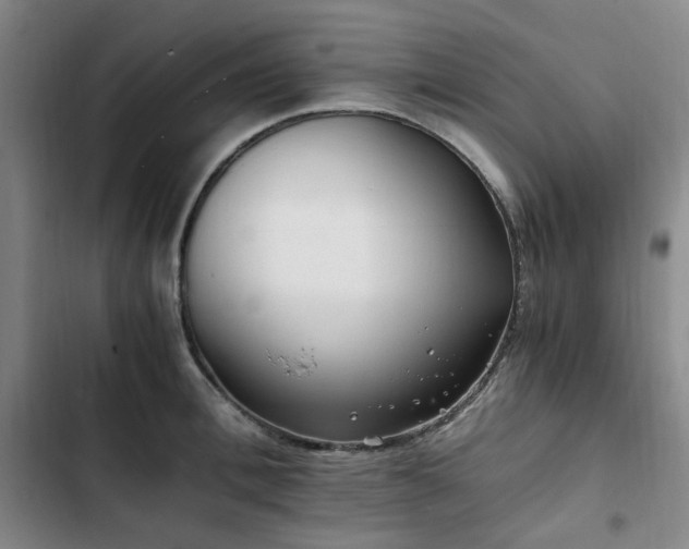 X0000102760996200808251024