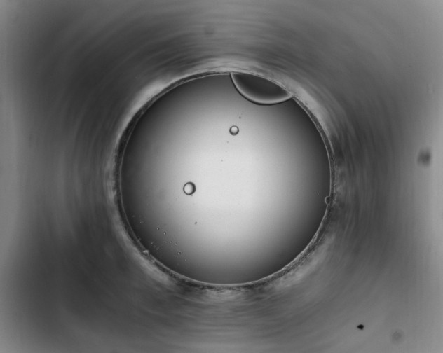 X0000102760997200808251024