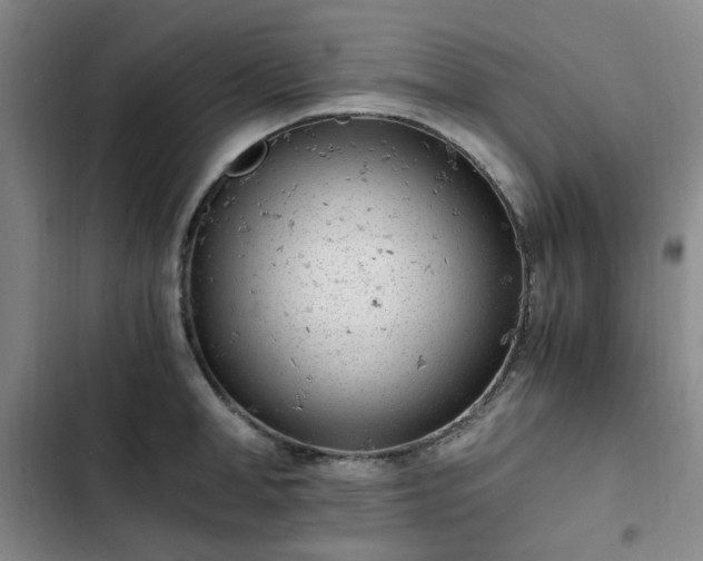 X0000102760998200808251024