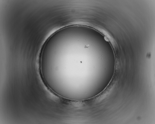 X0000102760999200808251024