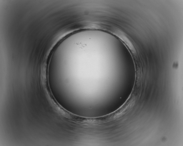 X0000102761000200808251024