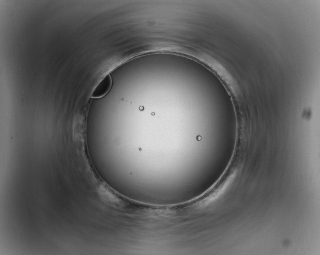 X0000102761001200808251024