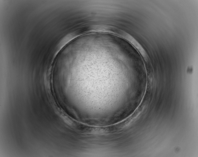 X0000102761002200808251024