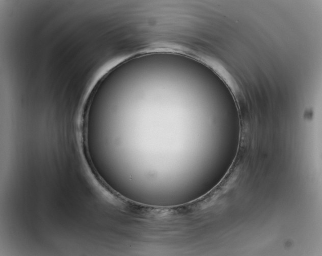 X0000102761003200808251024