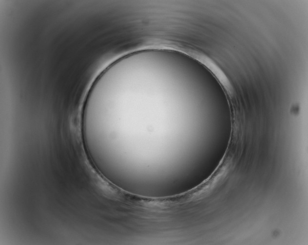 X0000102761004200808251024