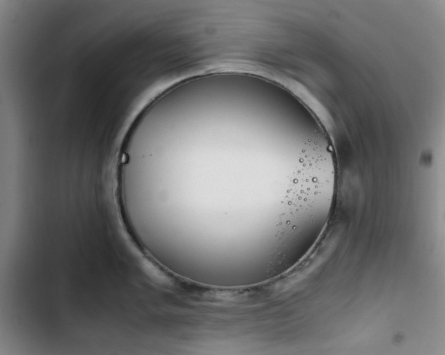 X0000102761005200808251024