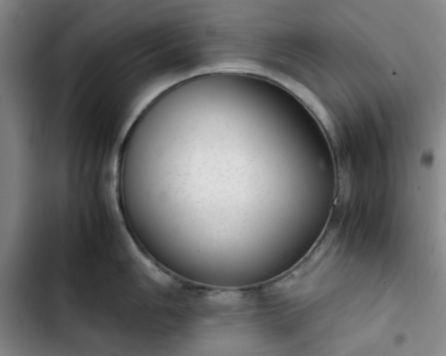 X0000102761006200808251024