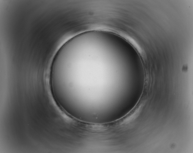 X0000102761007200808251024