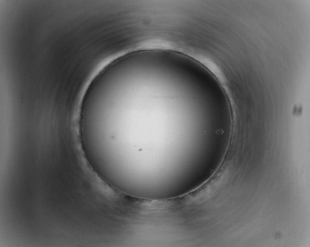 X0000102761008200808251024