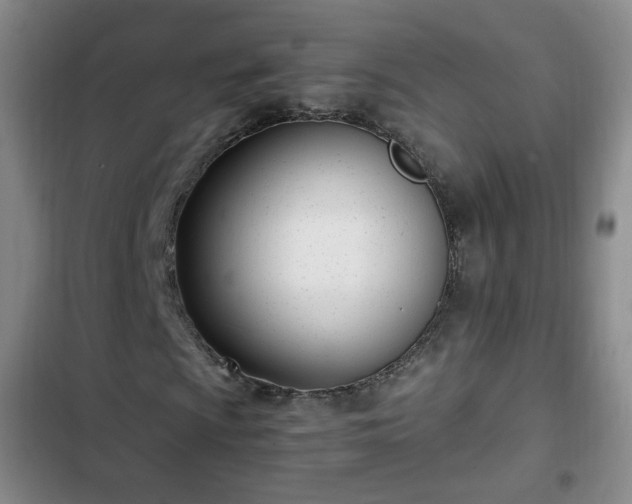 X0000102761009200808251023